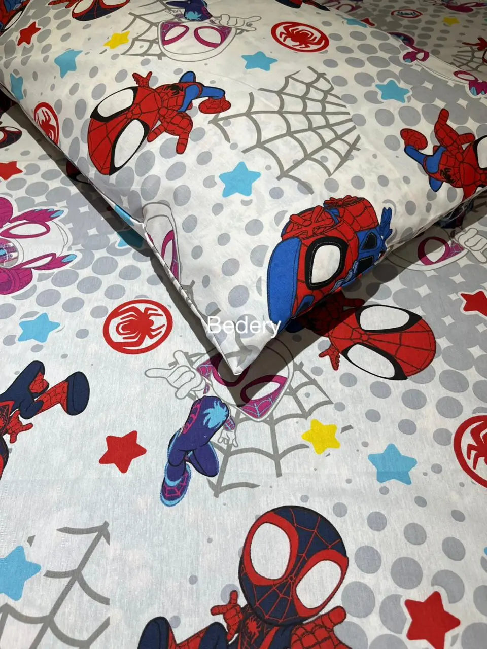 Spider Web Adventure