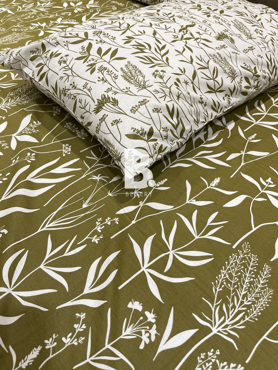 Olive Leaves